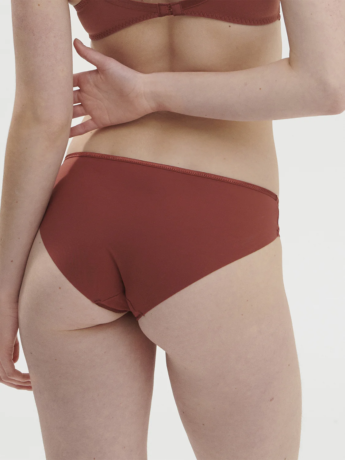 Cotton Bikini brief - Canyon Brown - Image 2